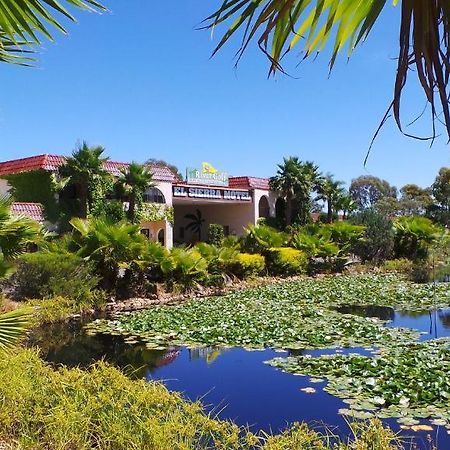 El Sierra Motel Barooga Dış mekan fotoğraf