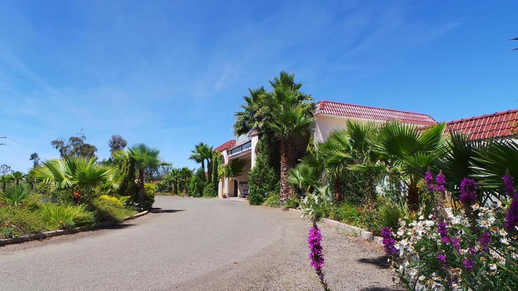 El Sierra Motel Barooga Dış mekan fotoğraf